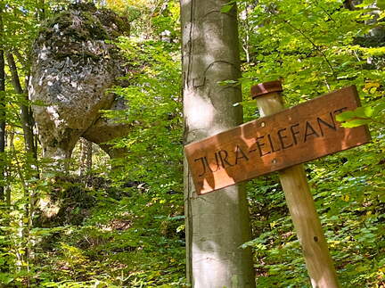 22-10-09 14-30-56 2575